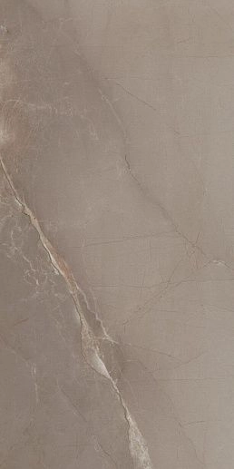 Passion Lux 90 Taupe 45x90 - фото 1