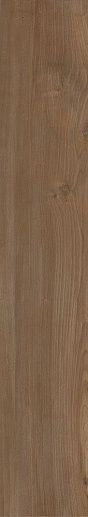 Milton Noce 10x60 - фото 1