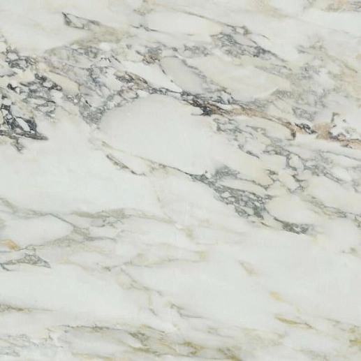 Capraia Bianco Pol 80x80 - фото 1