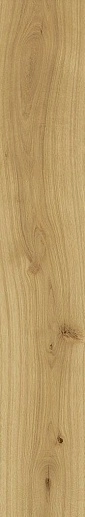 Exence Almond 20x120 - фото 1