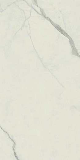 Empire Statuario Rett 80x160 - фото 1