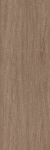 Legno Venezia Rovere R10 300x100 - фото 1