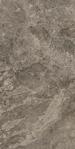 Victory Taupe 60x120 - фото 1