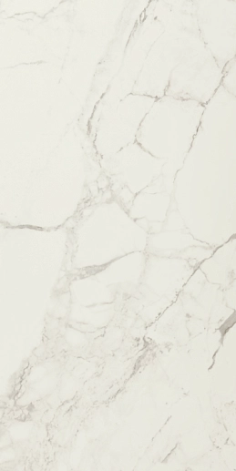 Marble/Lucca Blanco 60x120 - фото 1