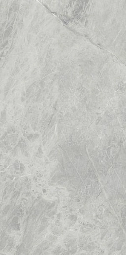 Marmi Classici Gris De Savoie Soft 60x120 - фото 1