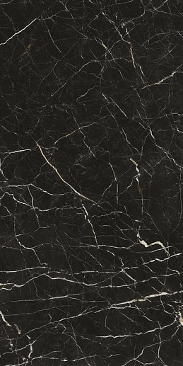 Allure Imperial Black 60x120 - фото 1