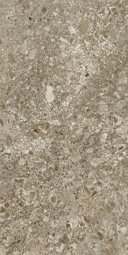 Lunar Brown 60x120 - фото 1