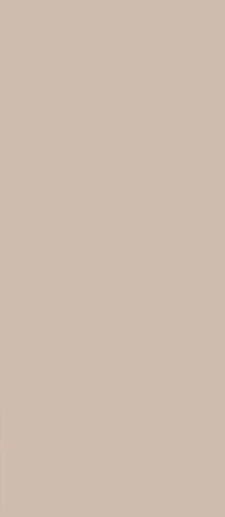 Concept WAAMB108 20x40 - фото 1