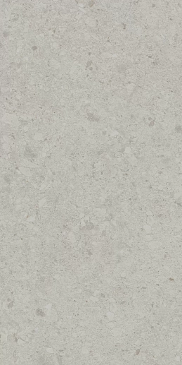 DD591220R Чеппо ди Гре серый светлый матовый обрезной 119.5x238.5x0.9 - фото 1