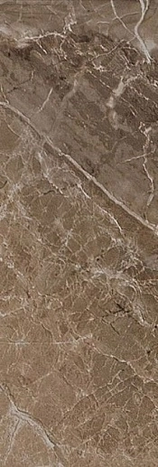 Marble Marrone Onice Lappato 19.5x58.5 - фото 1