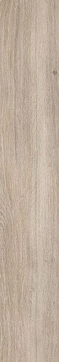 Heartwood Cardamon Rekt Struktura Mat 19.8x119.8 - фото 1