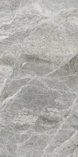 Silver Grey Pol 60x120 - фото 1