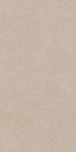 Boost Natural Ash Grip 60x120 - фото 1