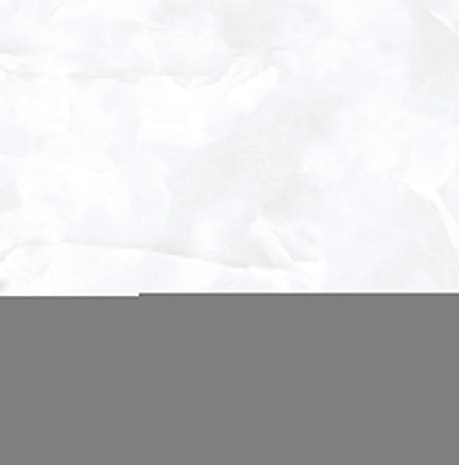Italica 60x60 Coin White Glossy - фото 1