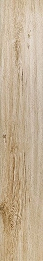 Root Vaniglia 20x120 - фото 1
