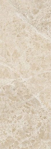 Insignia Emperador Beige Brillo 24.2x70 - фото 1