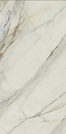 Marble Arch Арктик Годл Flpr 60x120 - фото 1
