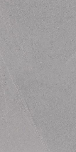 Seine R Gris 60x120 - фото 1