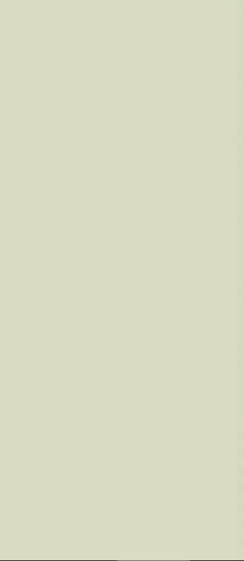 Art Deco Vector Frame C Green Tea 12.5x25 - фото 1