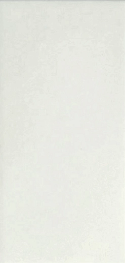 Artisan Blanco Mate 10x20 - фото 1