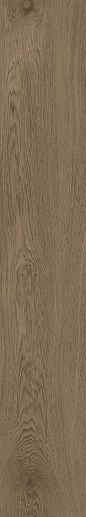 Dubrava Brown 20x120 - фото 1