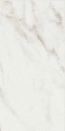 Exalt of Magic White Luc Rett 30x60 - фото 1