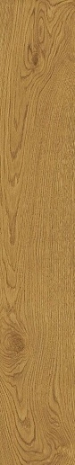 Exence Amber 20x120 - фото 1