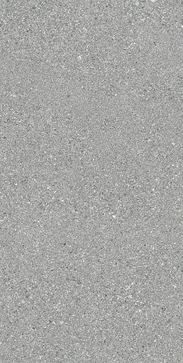 Grain Stone Fine Grain Grey Nat.60x120 - фото 1