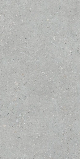 Flakecement Серый Матовый 60x120 - фото 1