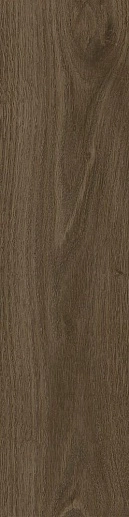 Tregui Dark 8x33 - фото 1