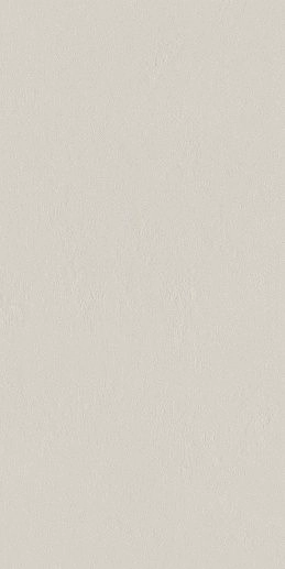 Industrio Light Grey 59.8x119.8 - фото 1
