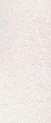 Aplomb White Leaf 50x120 - фото 1