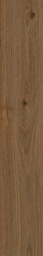 Secret Marrone Rett. 20x120 - фото 1