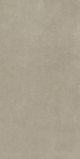 Industrial Taupe 6mm R+PTV Ret 120x240 - фото 1