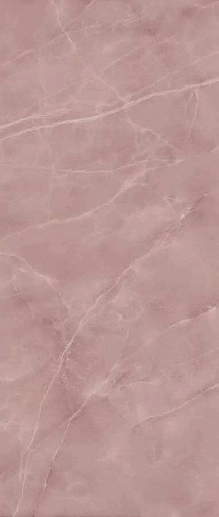 Symphonyx Rose Rett Lapp 120x278 - фото 1