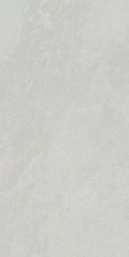 48010R Монте Тиберио серый глянцевый обрезной 40x80x1 - фото 1