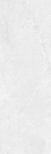 Bleuemix White MATE 40x120 - фото 1