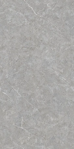 Techno Matt Mica Grigio TM 80x160 - фото 1