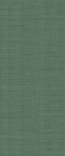 Lilysuite Green 50x120 - фото 1