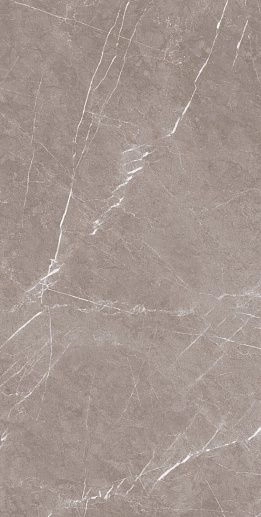 Stone Pietra Taupe CARV 60x120 - фото 1