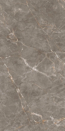 Shinestone Grey Pol 239.8x119.8 - фото 1