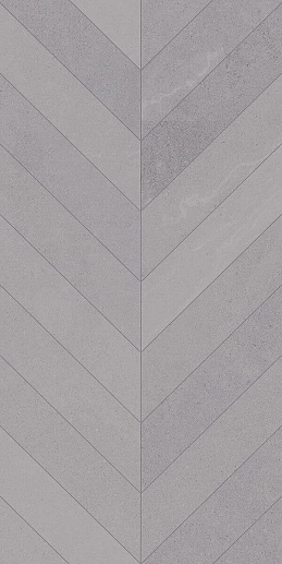 Seine Risle R Gris 60x120 - фото 1
