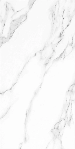 Mono Agave 30x60 - фото 1