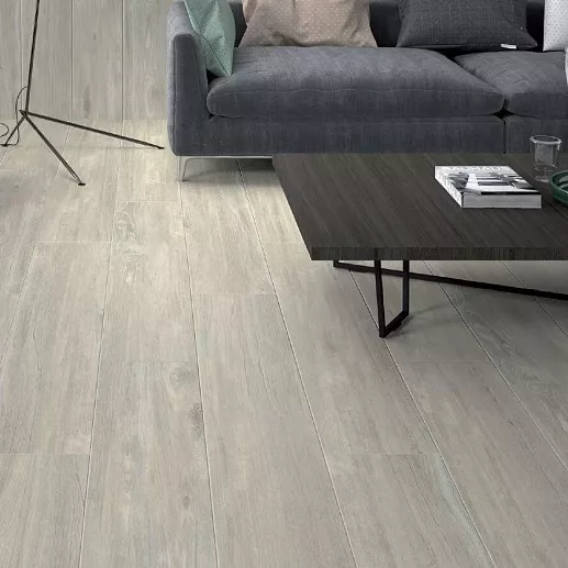 Alaplana Vilema 1