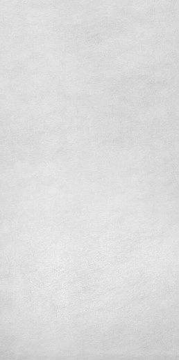 Seta Blanc 162x324 - фото 1