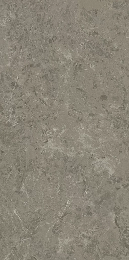 Marvel Meraviglia Grigio Elegante Matt 60x120 - фото 1