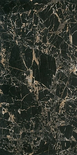 Tiger Black Lap 60x120 - фото 1