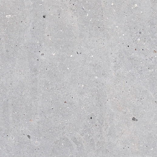 Messel Silver 66x66 - фото 1