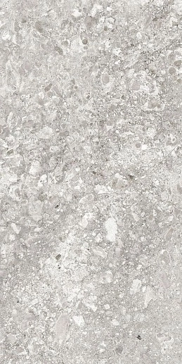 Lunar Grey Light 60x120 - фото 1