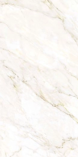 Gioia Silver/60x120/EP - фото 1